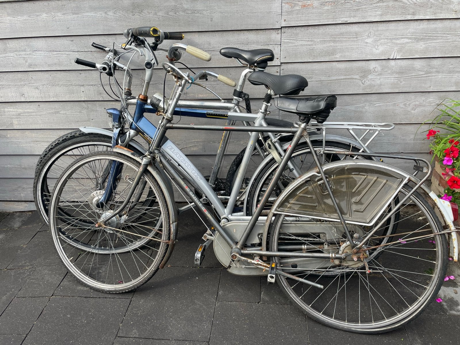 3 opknappers: Batavus en andere fietsen, Ophalen, Gebruikt, Batavus