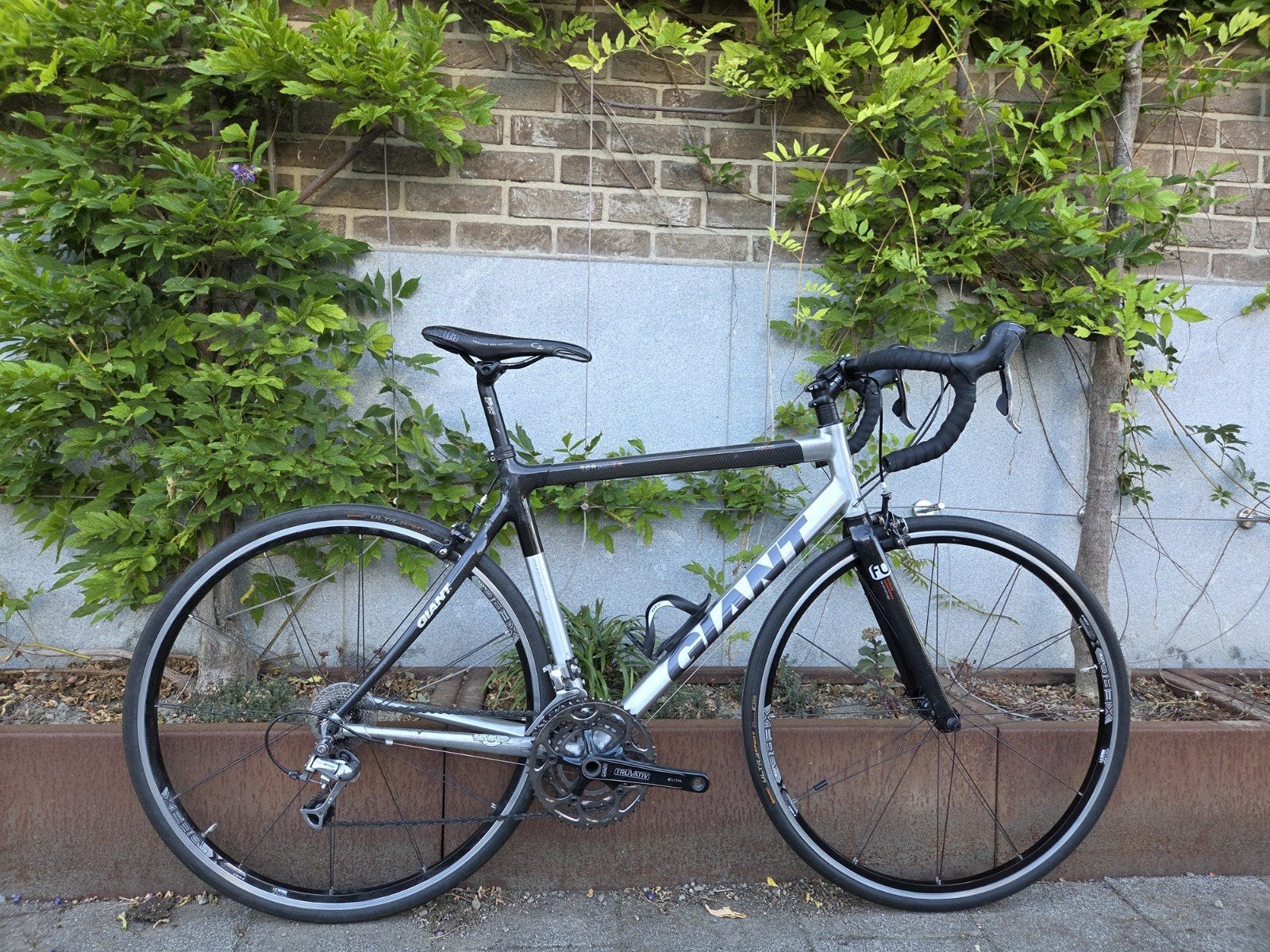 Racefiets Giant TCR Alliance 2.0 Shimano 105, Fietsen en Brommers, Fietsen | Racefietsen, Ophalen, 28 inch, Gebruikt, Velgrem