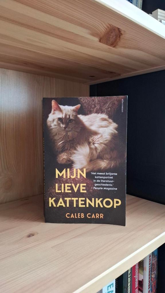 Mijn Lieve Kattenkop - Caleb Carr (Nieuw), Boeken, Ophalen of Verzenden, Nieuw, Caleb Carr