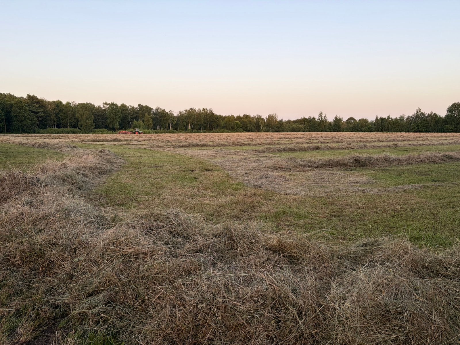 Kruidenrijk natuurhooi, Dieren en Toebehoren, Ophalen, Vee