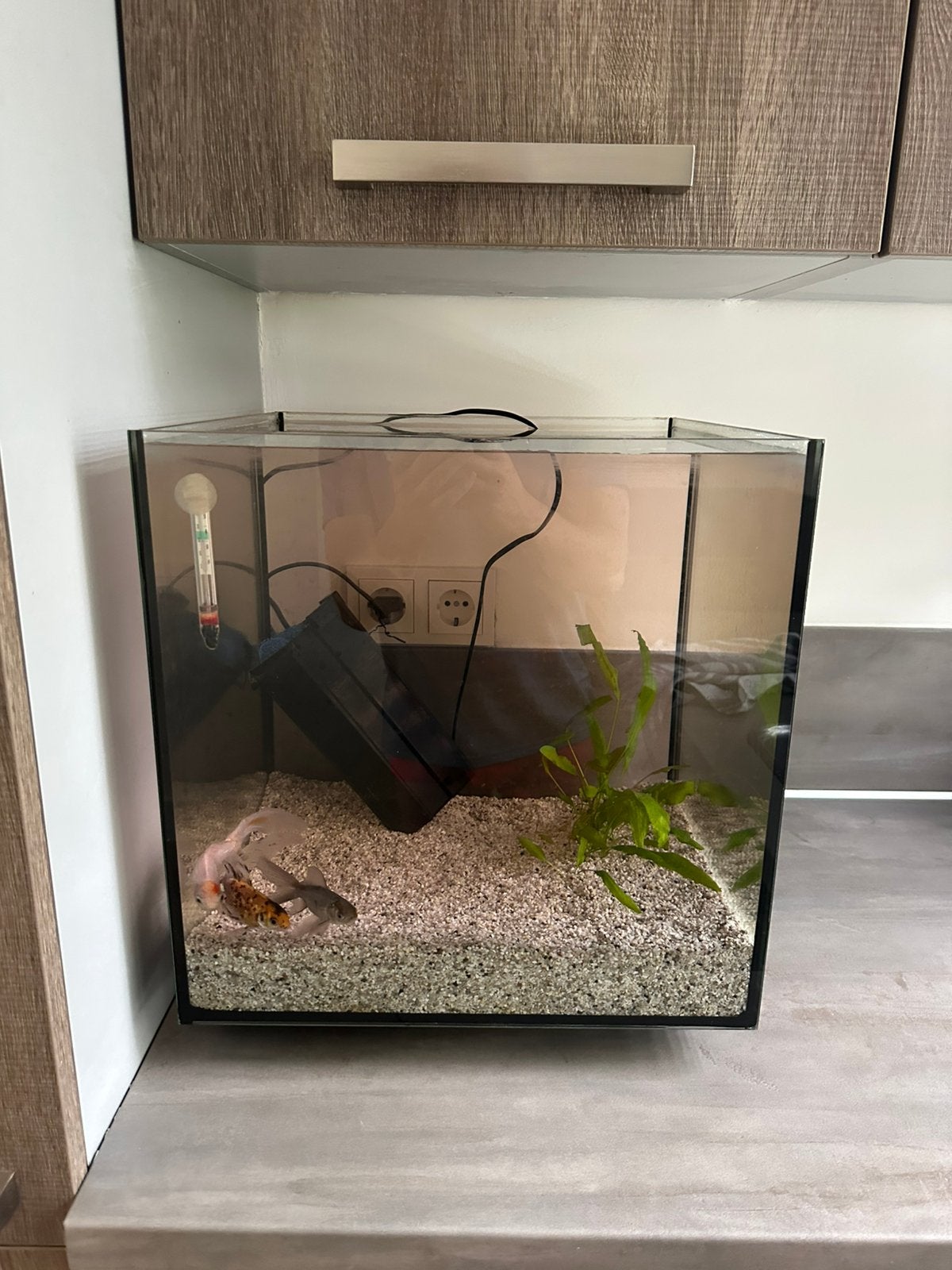 Superfish Qubiq 60 pro, Ophalen of Verzenden, Zo goed als nieuw, Leeg aquarium