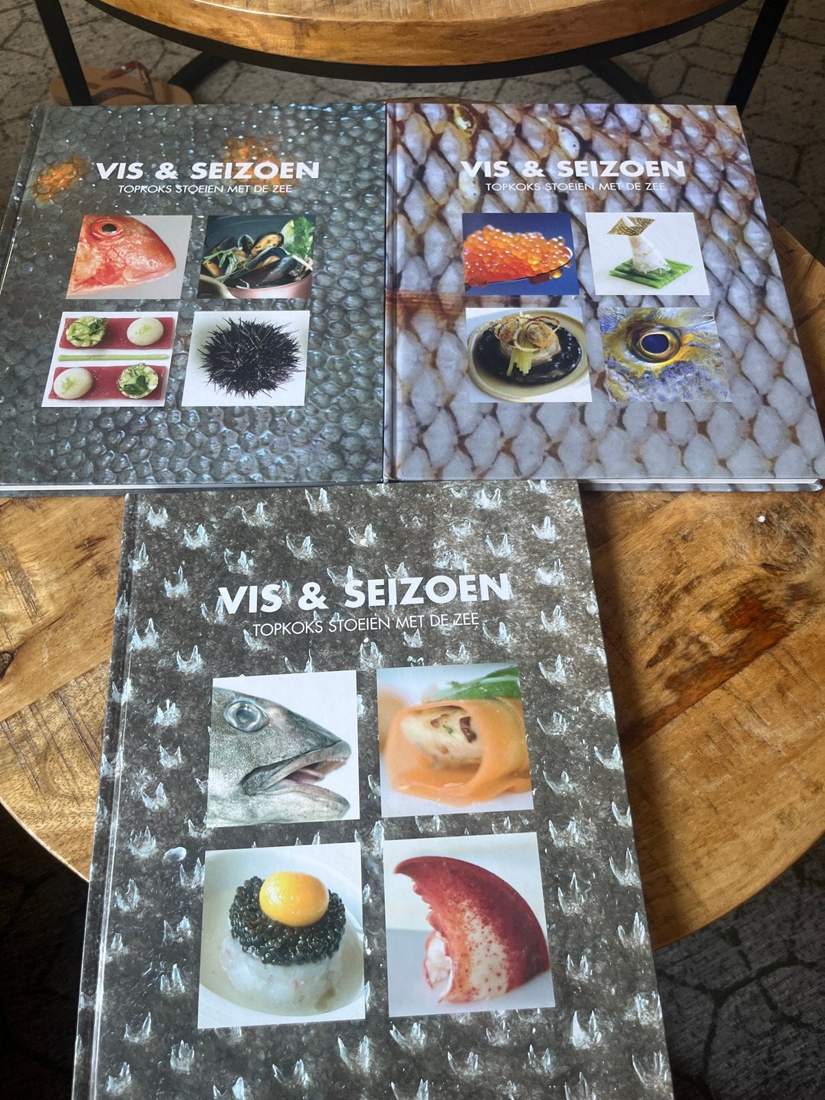 Vis & Seizoen Kookboeken - Topkoks Stoelen met de Zee, Ophalen of Verzenden, Gelezen, Overige gebieden, Hoofdgerechten