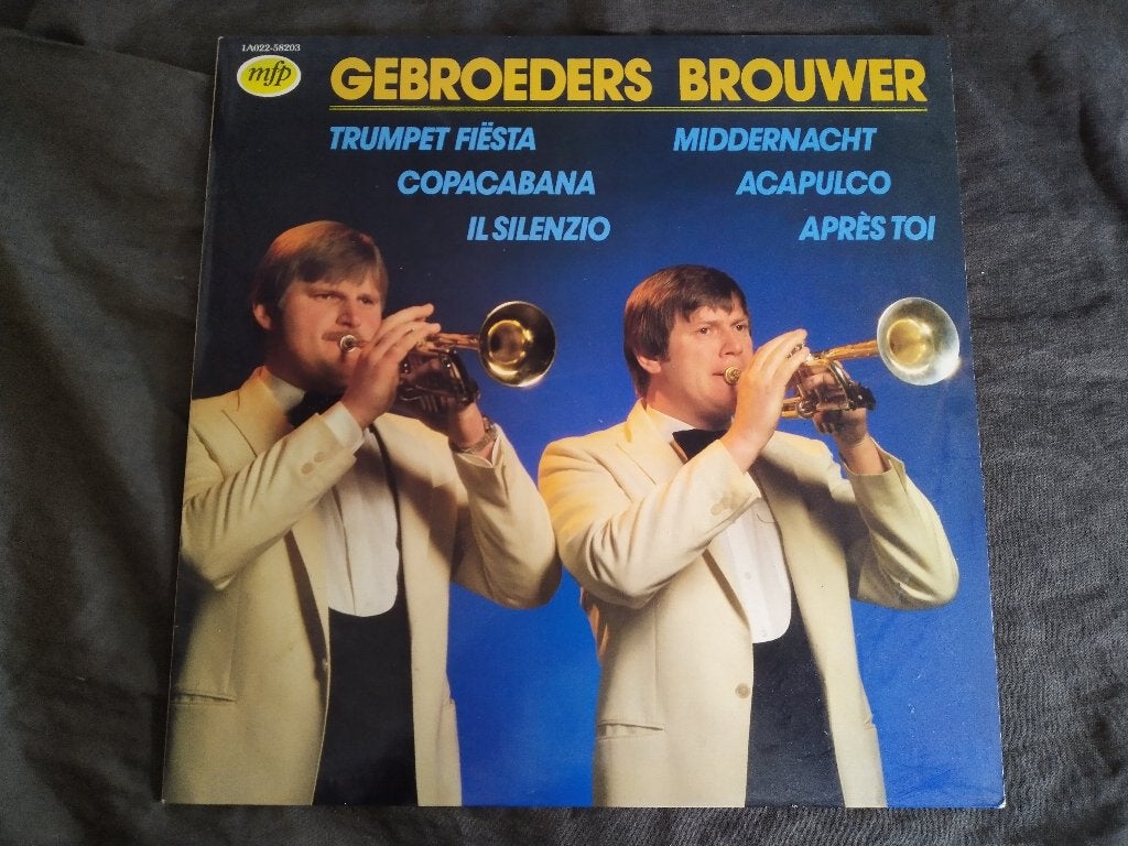 LP - Gebroeders Brouwer, Ophalen of Verzenden, Zo goed als nieuw, 12 inch