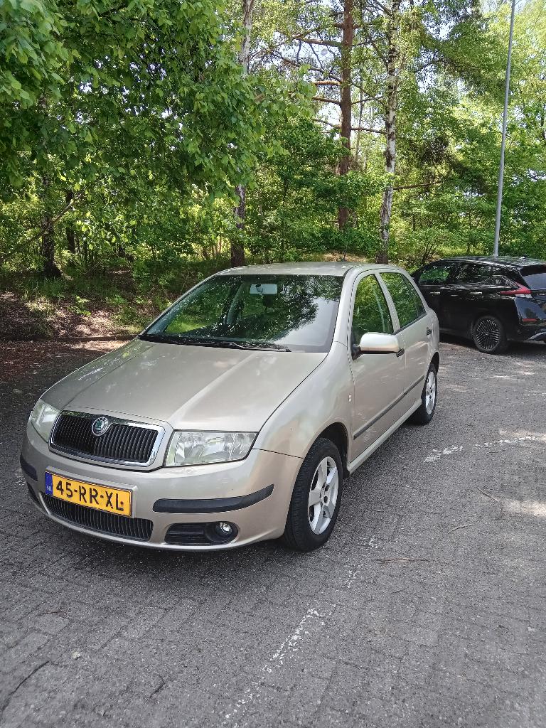 Skoda Fabia 1.4 55KW 2005 Beige, Voorwielaandrijving, Zwart, 4 cilinders, Alcantara