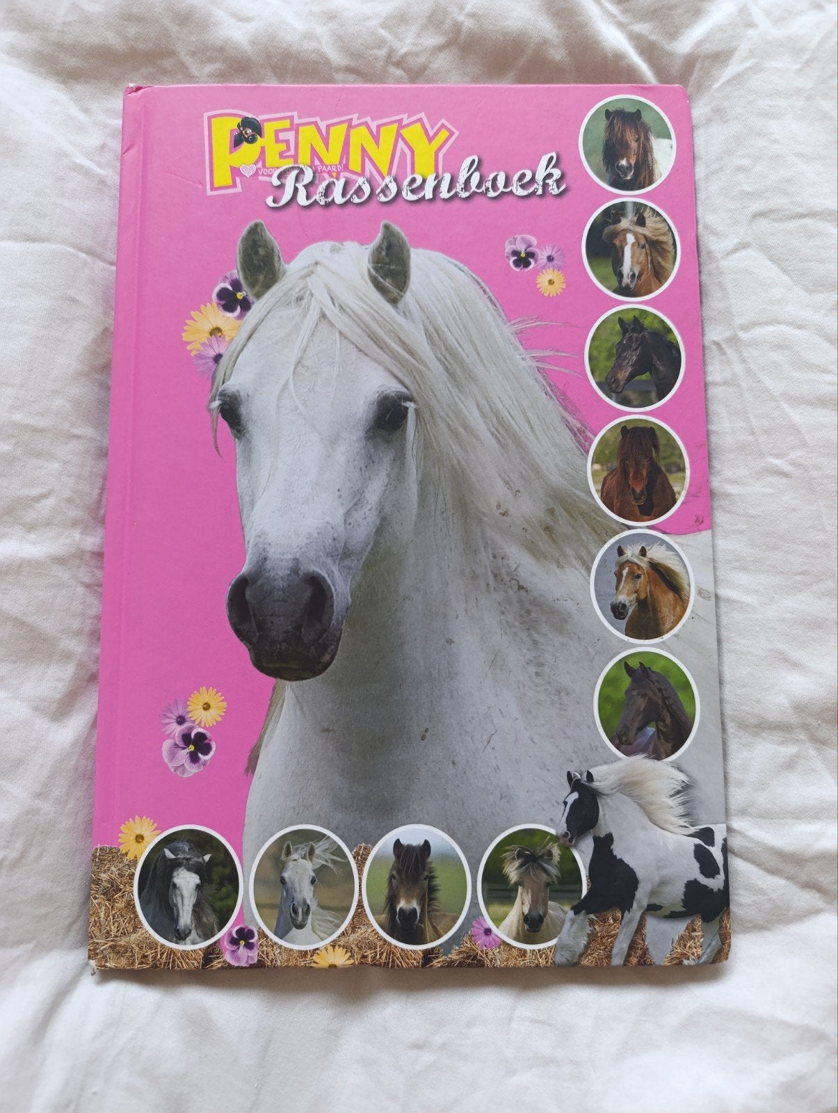 Penny rassenboek, Ophalen of Verzenden, Zo goed als nieuw, Paarden of Pony's