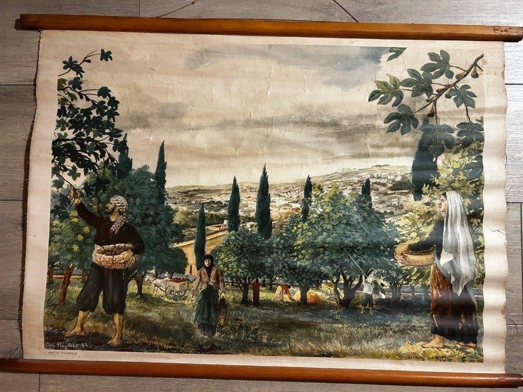 De oogst van vijgen, Antiek en Kunst, Antiek | Schoolplaten, Ophalen of Verzenden, Natuur en Biologie