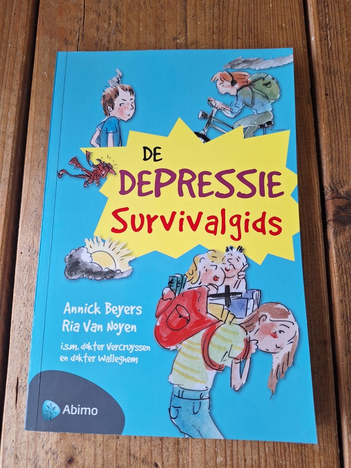 De Depressie Survivalgids - Annick Beyers & Ria Van Noyen, Verzenden, Zo goed als nieuw, Annick Beyers, Ria Van Noyen