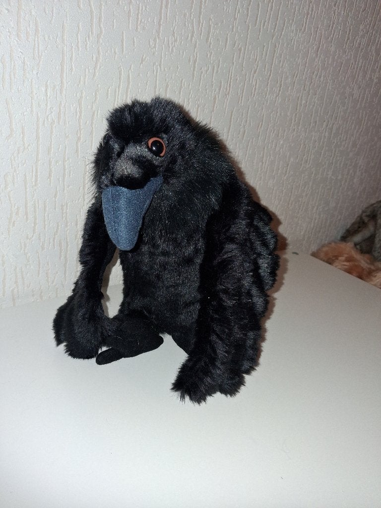 Kraai knuffel nieuw wild republic vogel, Overige merken, Overige typen, Nieuw, Zwart