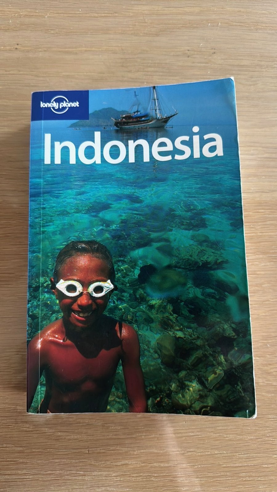 Reisgids indonesië, Boeken, Reisgidsen, Gelezen, Lonely Planet, Diverse auteurs, Ophalen of Verzenden
