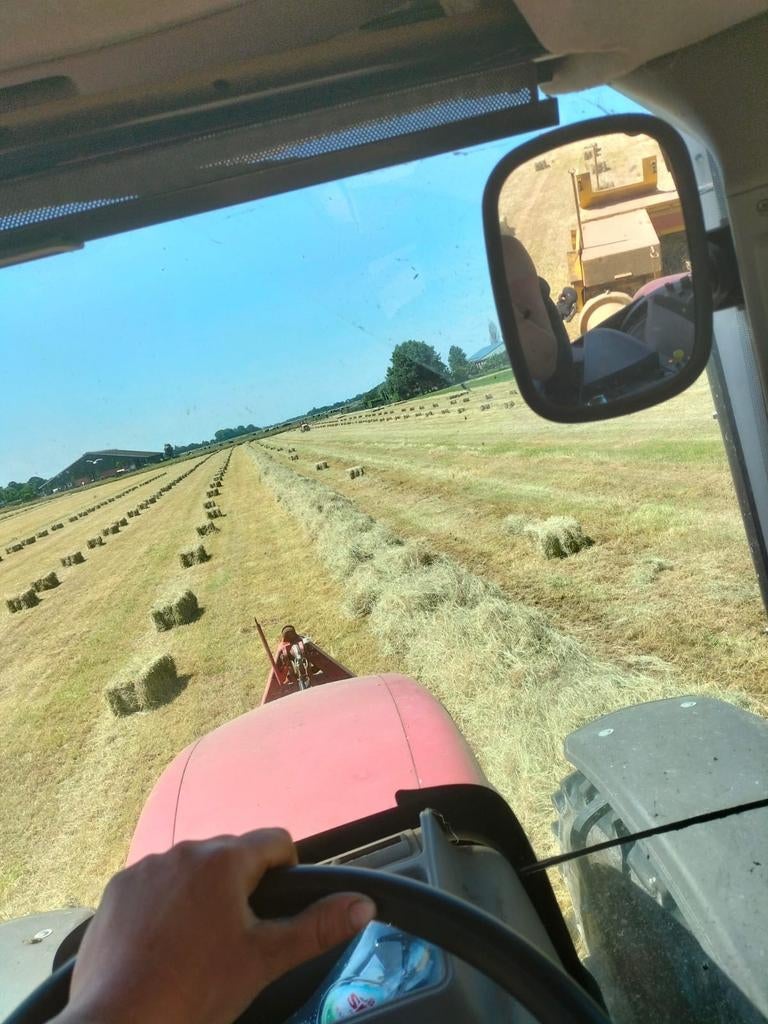 Gezocht: Hooi in de wiers geleverd, Ophalen, Vee