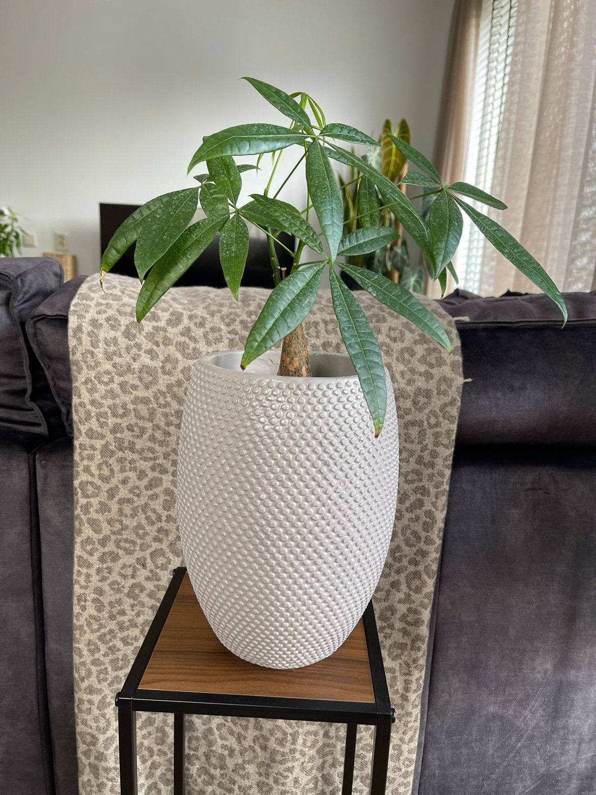 Bloempot met structuur, 28 cm hoog, 4 kg, Overige materialen, Gebruikt, Rond, Binnen