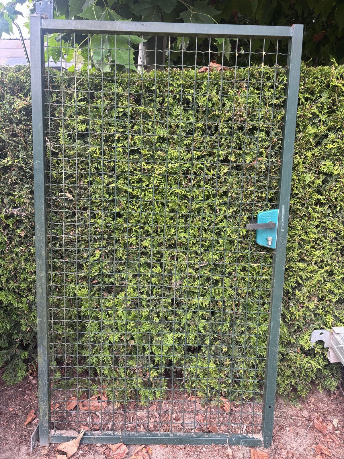 Hekwerk poort 100 x 170 cm - Groen metalen tuinpoort, Ophalen, Met poort, Gebruikt, Tuinhek