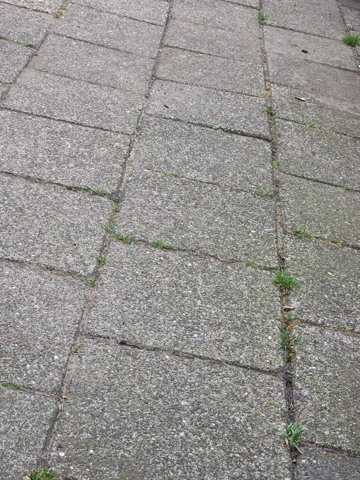 Gebruikte betontegels voor terras of pad, Ophalen