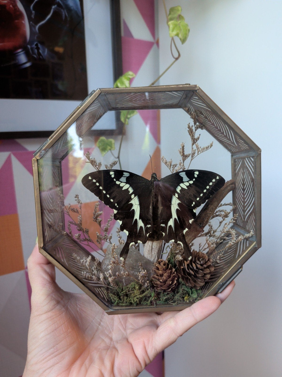 Vintage Gouden Kistje met Opgezette Vlinder & Bergkristal, Verzenden, Gebruikt