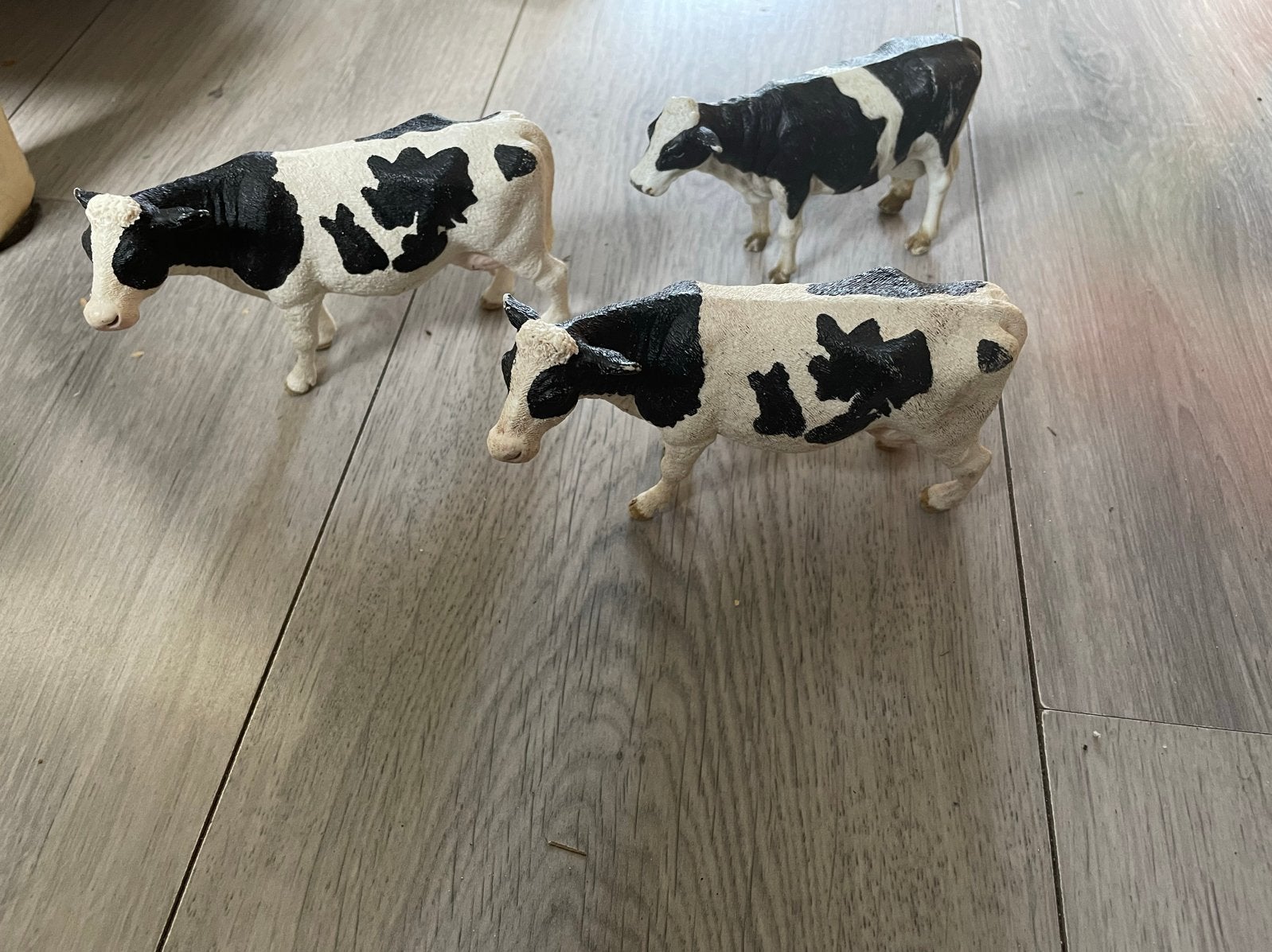 Schleich koeien, Ophalen of Verzenden, Gebruikt