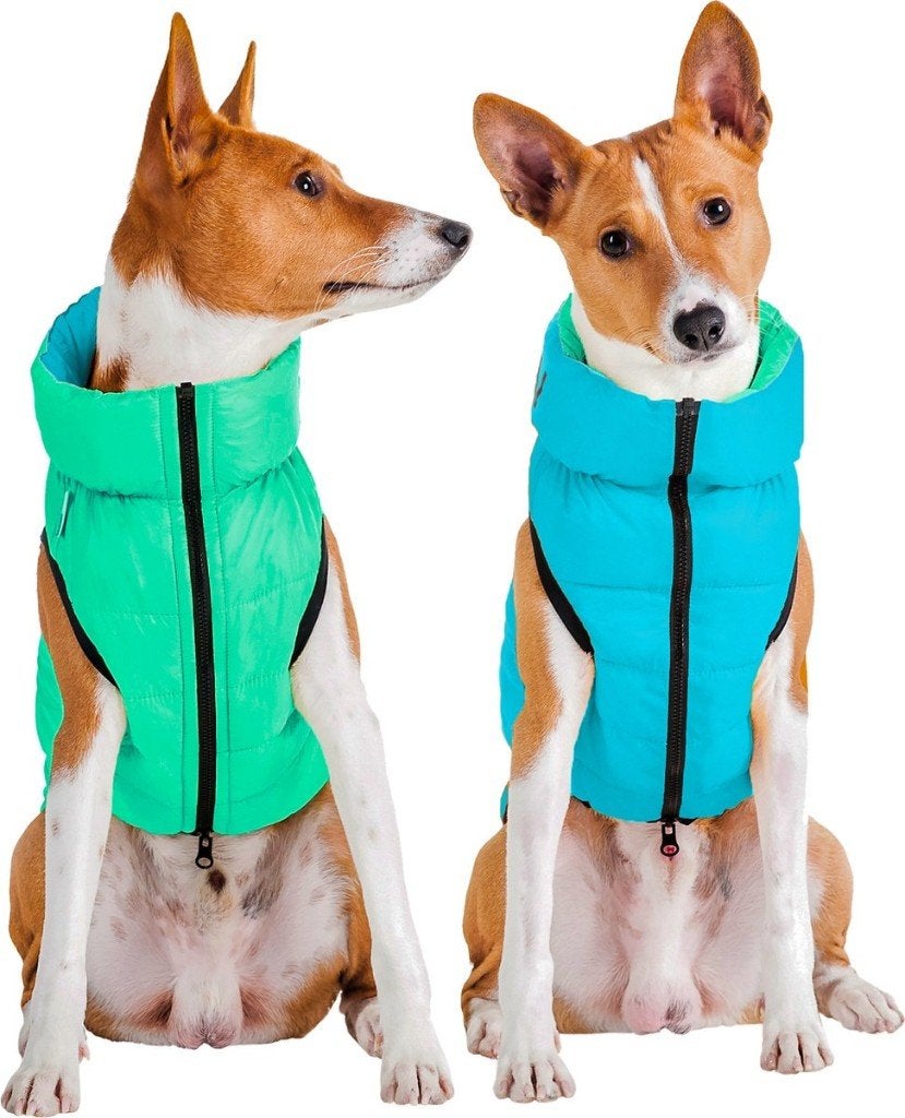 AiryVest Hondenjas Lichtgevend XS22 Lightgreen-Blue -50%!!!, Dieren en Toebehoren, Ophalen of Verzenden, Nieuw, Hondenjas