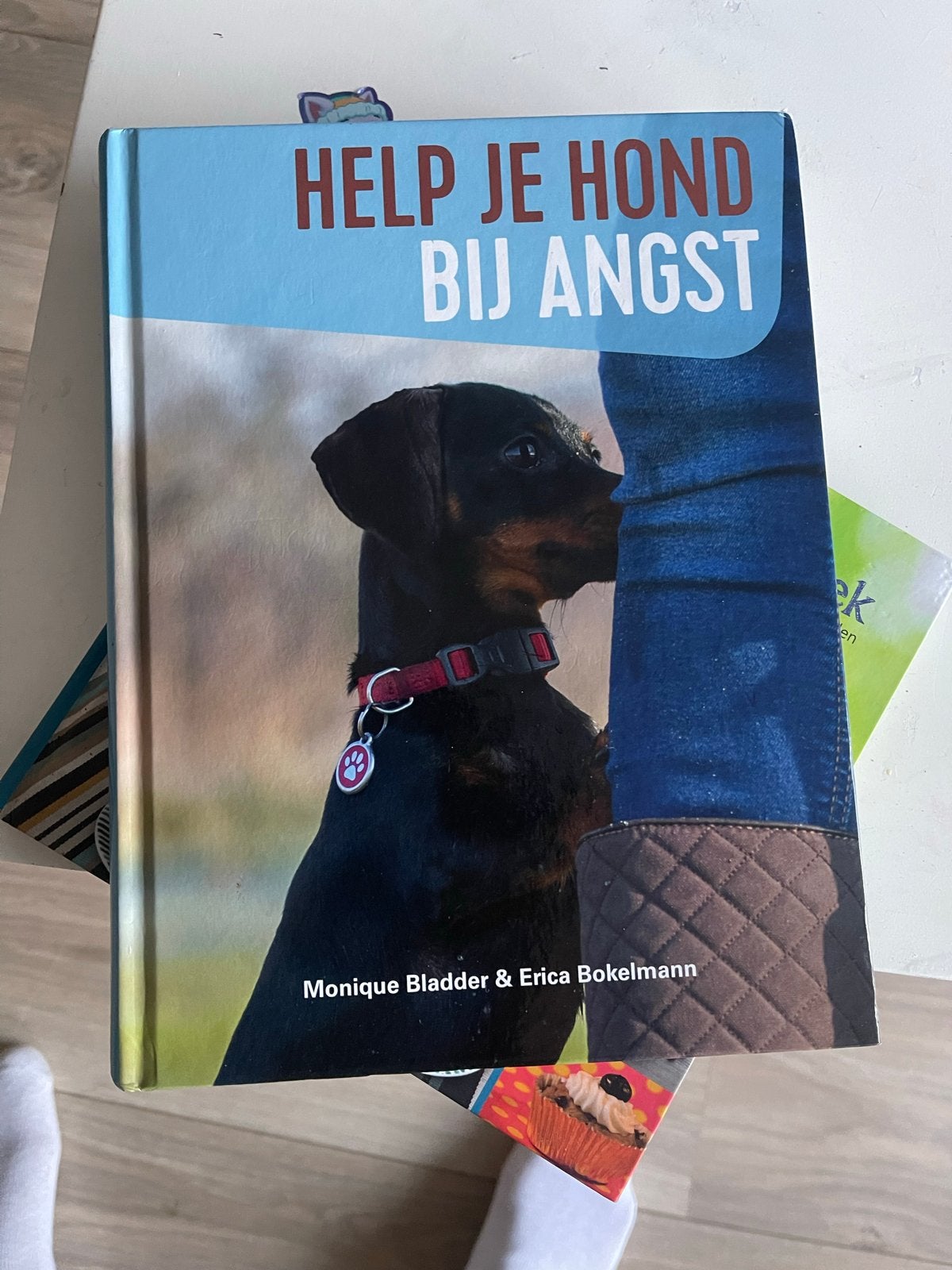 Help je hond bij angst - Monique Bladder & Erica Bokelmann, Boeken, Ophalen, Zo goed als nieuw, Honden