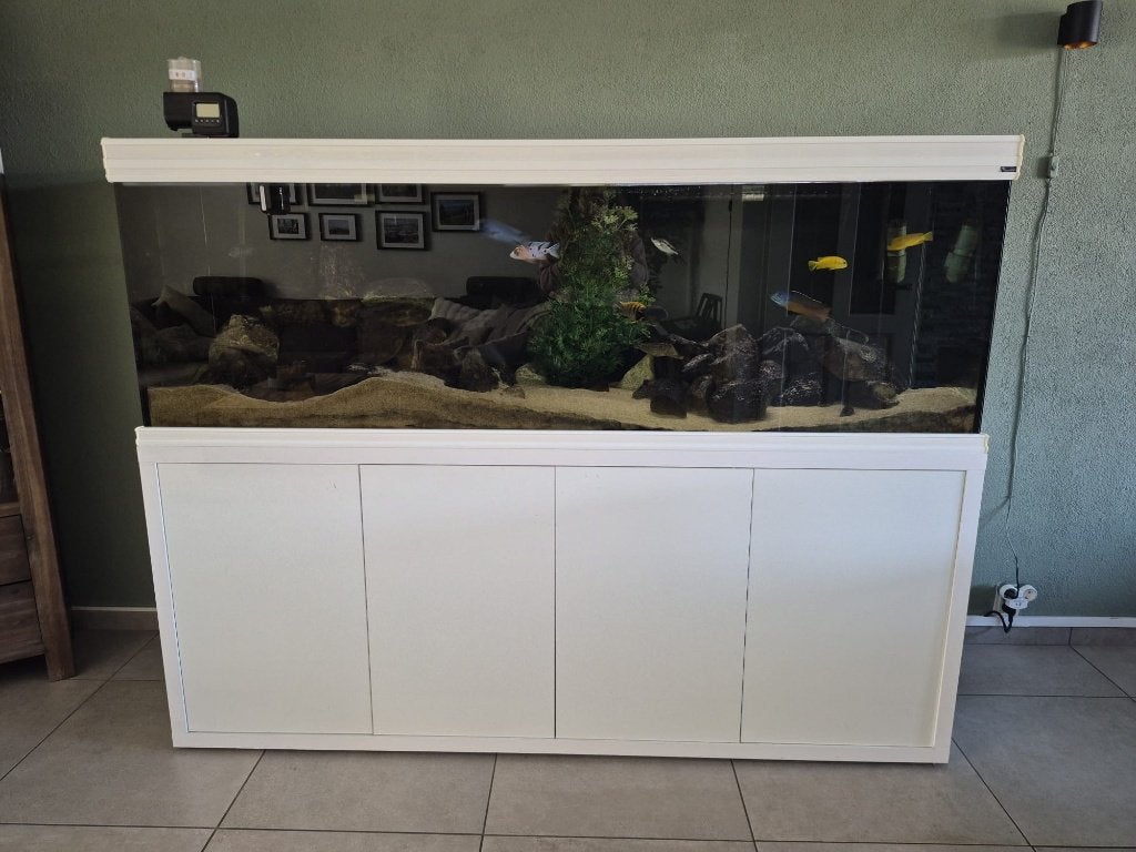 Aqualantis Aquarium 670 liter, Dieren en Toebehoren, Vissen | Aquaria en Toebehoren, Ophalen, Gebruikt, Leeg aquarium