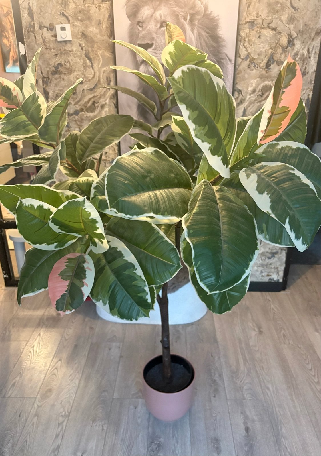 IKEA Kunstplant Ficus hoog met roze pot, Ophalen, Binnen, Groen, Kunstplant