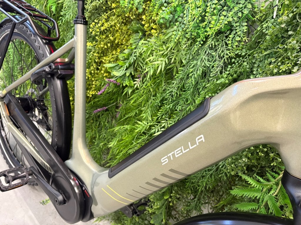 Foto 3 van Stella Livorno | Bosch Performance Line 75Nm | 625Wh | 57CM