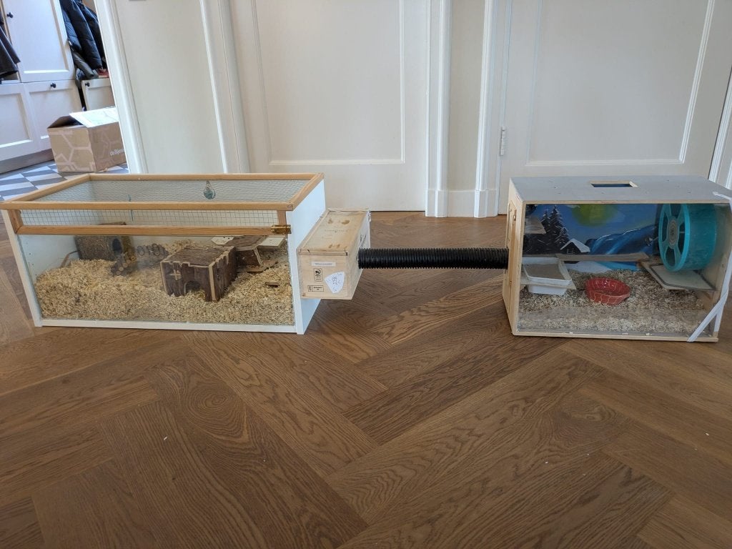 DIY hamster kooi met accessoirs, Kooi, Muis, Ophalen, Minder dan 60 cm
