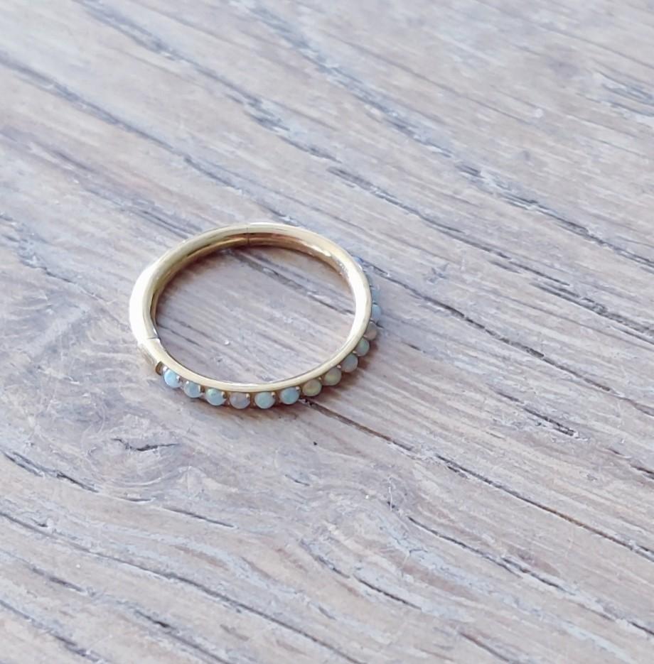 Prachtige titanium piercing (segment ring) met opaal, Ophalen of Verzenden, Nieuw, Overige materialen, Oor- of Traguspiercing