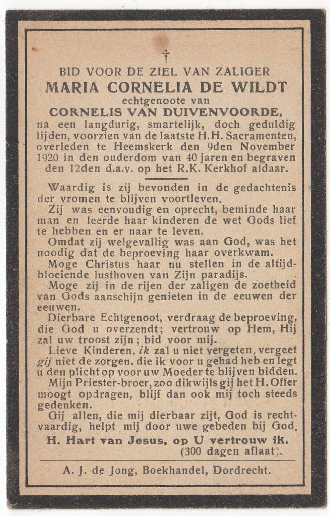 Maria Cornelia de Wildt 1880 - 1920 Heemskerk, 40 jaar, Verzenden