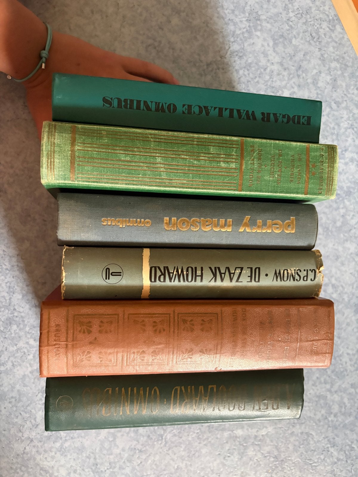 Vintage boeken Edgar Wallace, Perry Mason, A. den Doola, Boeken, Ophalen of Verzenden, Gelezen, Nederland