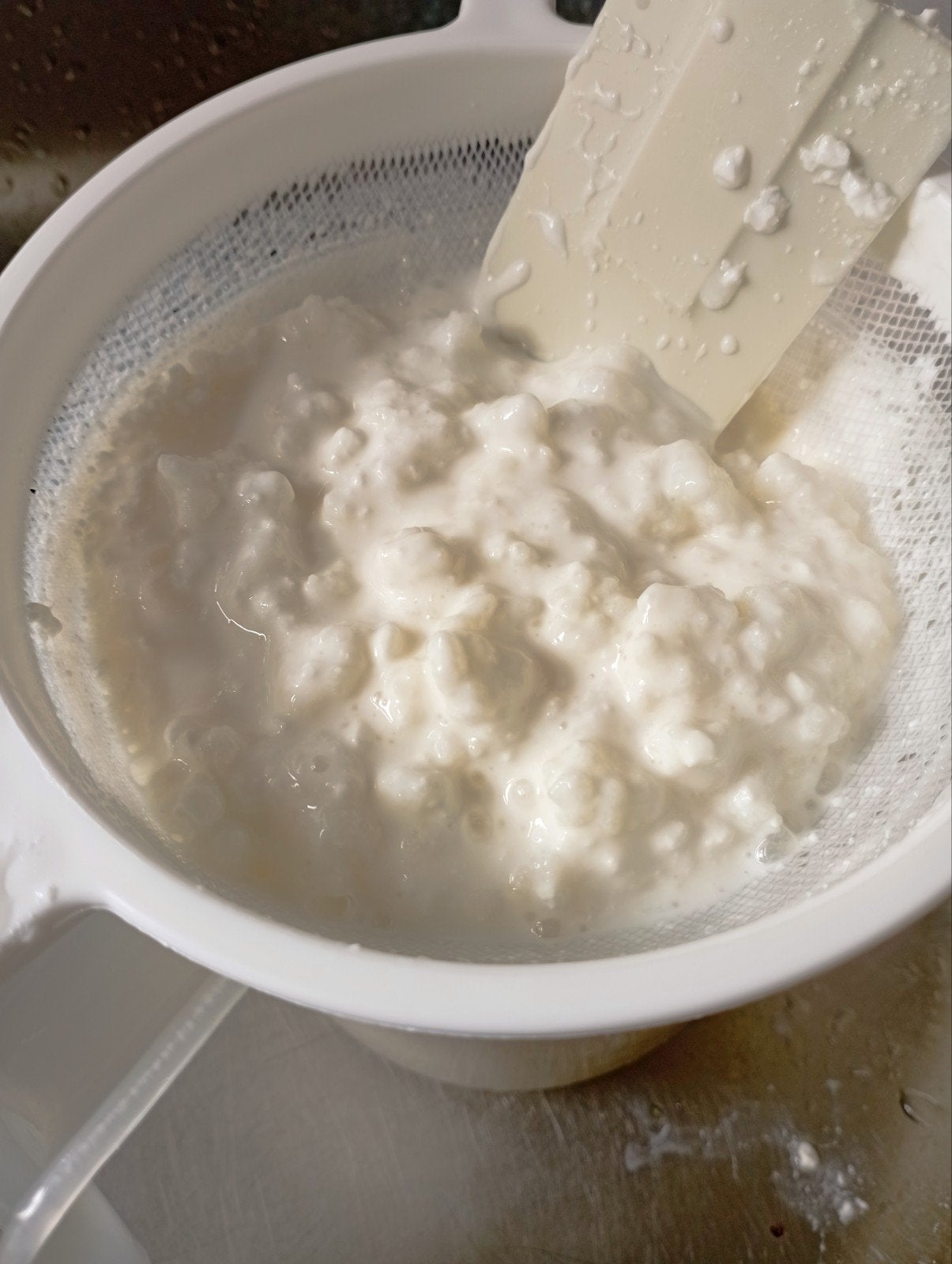 melk kefir korrels ., Diversen, Levensmiddelen, Ophalen of Verzenden