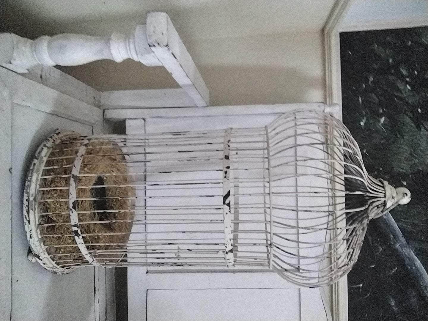 brocante vogelkooi, Ophalen