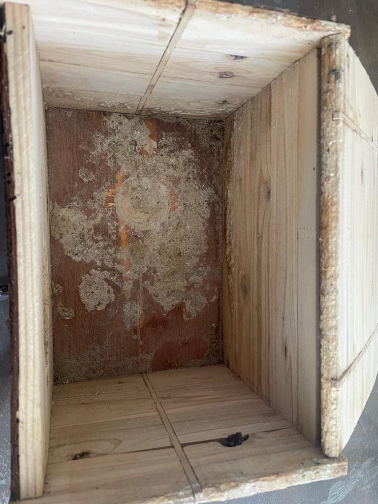 Houten vogelhuisje - Natuurlijk design, Ophalen of Verzenden, Gebruikt