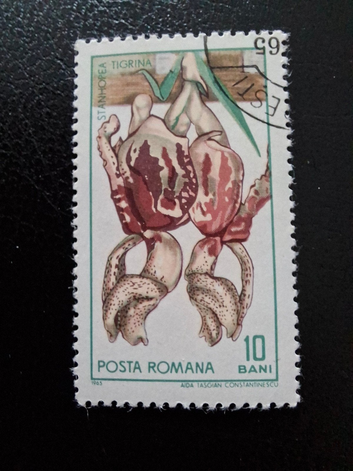 Bloemen.  Roemenië, Ophalen of Verzenden, Dier of Natuur