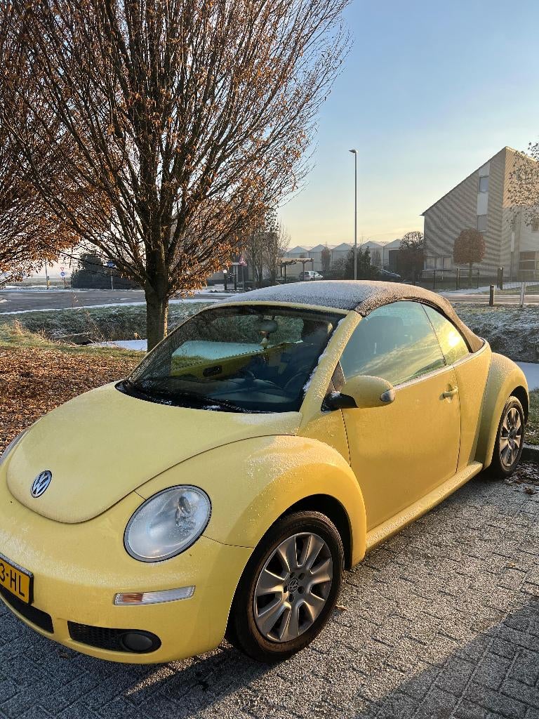 Volkswagen Beetle (Kever) 1.6 Cabriolet 75KW 2007, Auto's, 4 cilinders, Cabriolet, 4 stoelen, Handgeschakeld