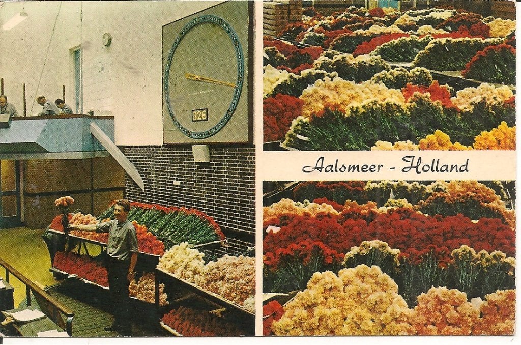Oude ansichtkaart Aalsmeer - Interieur bloemenveiling, Ophalen of Verzenden, 1960 tot 1980, Ongelopen, Noord-Holland