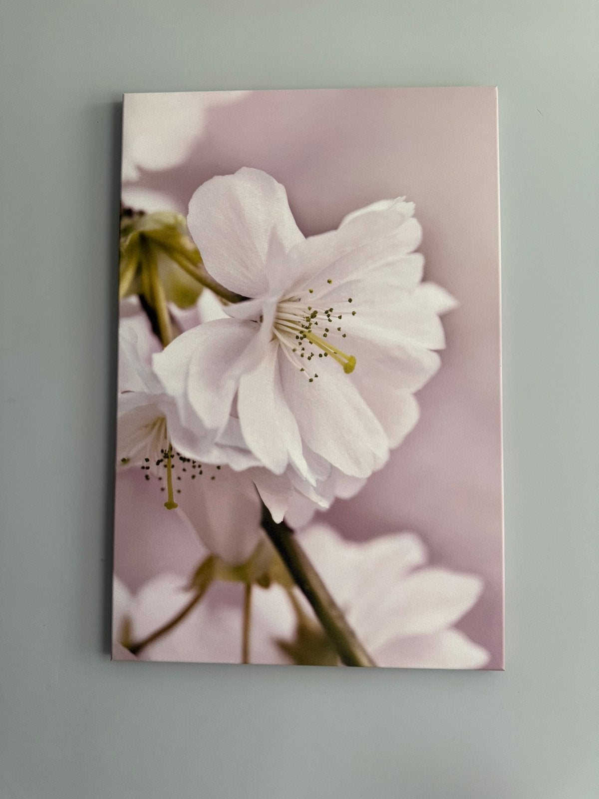 Bloemen schilderij canvas, Ophalen, Bloemen