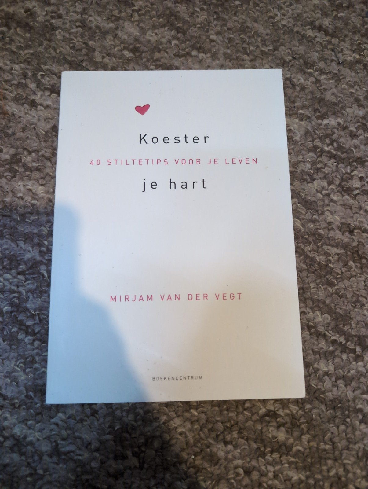 Mirjam van der Vegt - Koester je hart, Ophalen of Verzenden, Zo goed als nieuw, Mirjam van der Vegt