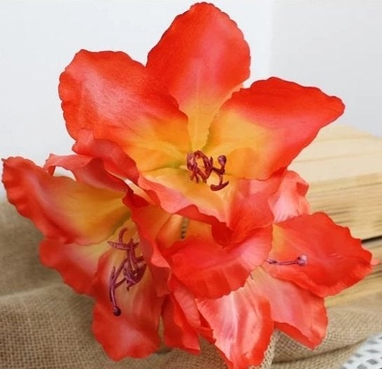 AMARYLLIS - KUNST TAK - 2 KLEUREN
