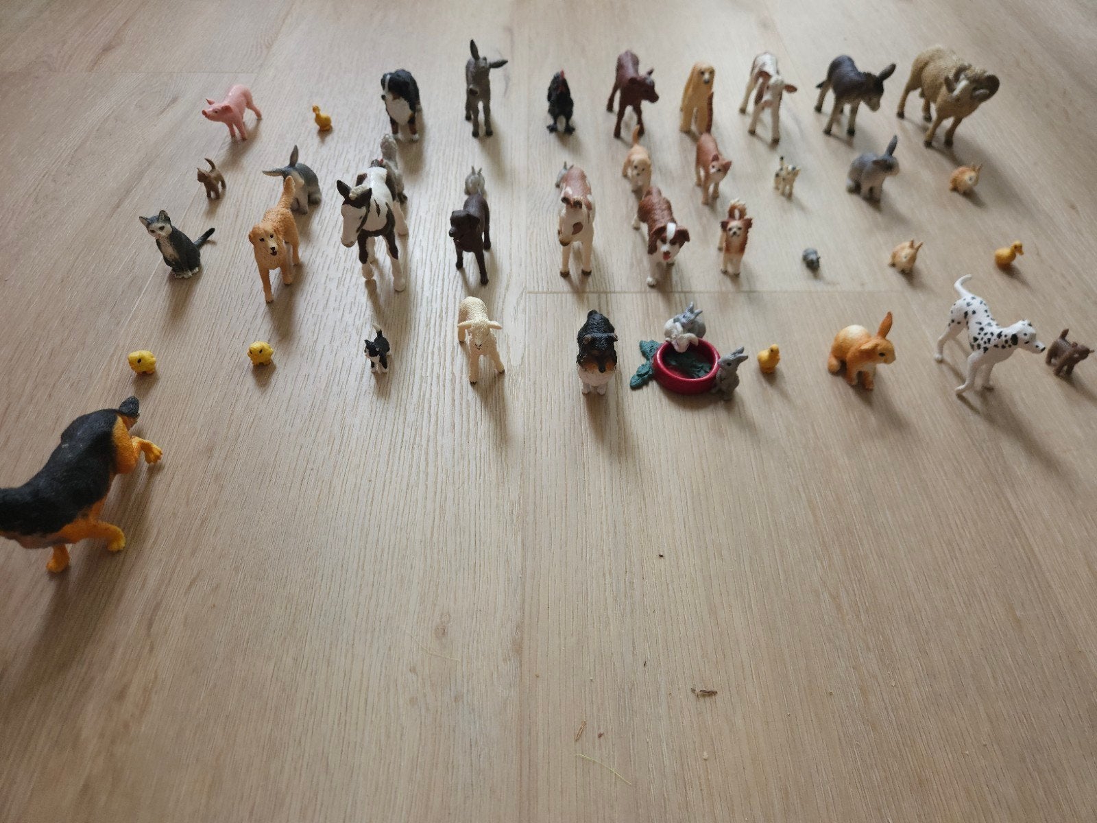 Collectie Schleich diverse dieren (41 stuks), Ophalen of Verzenden, Zo goed als nieuw, Boerderijdier