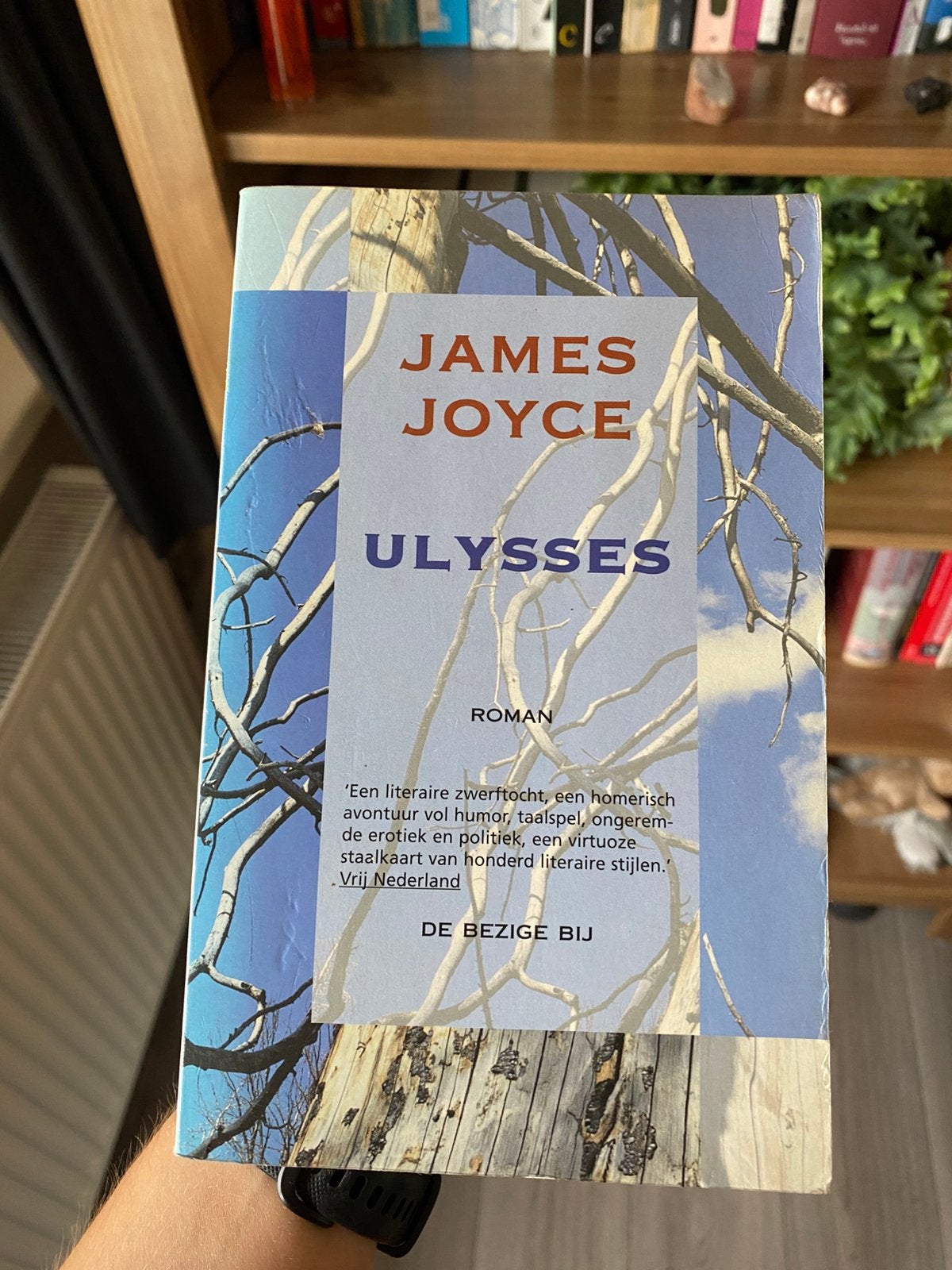 James Joyce - Ulysses, Ophalen of Verzenden, Gelezen