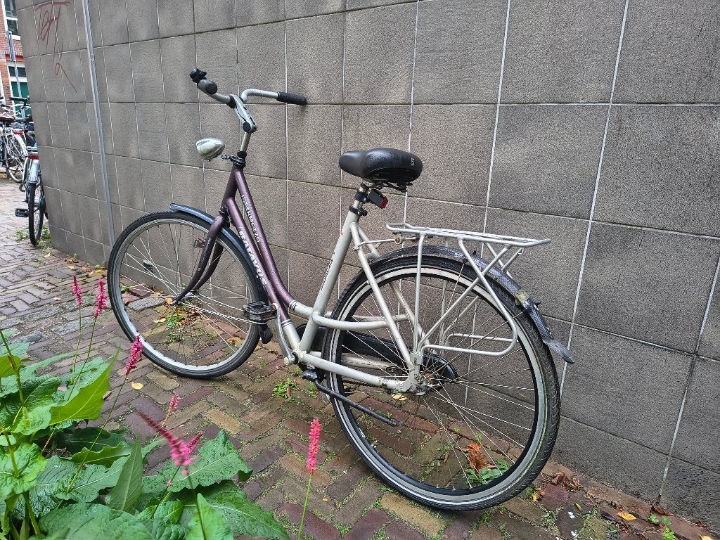 Batavus damesfiets met terugtraprem, Ophalen, Terugtraprem, Batavus, 53 tot 56 cm