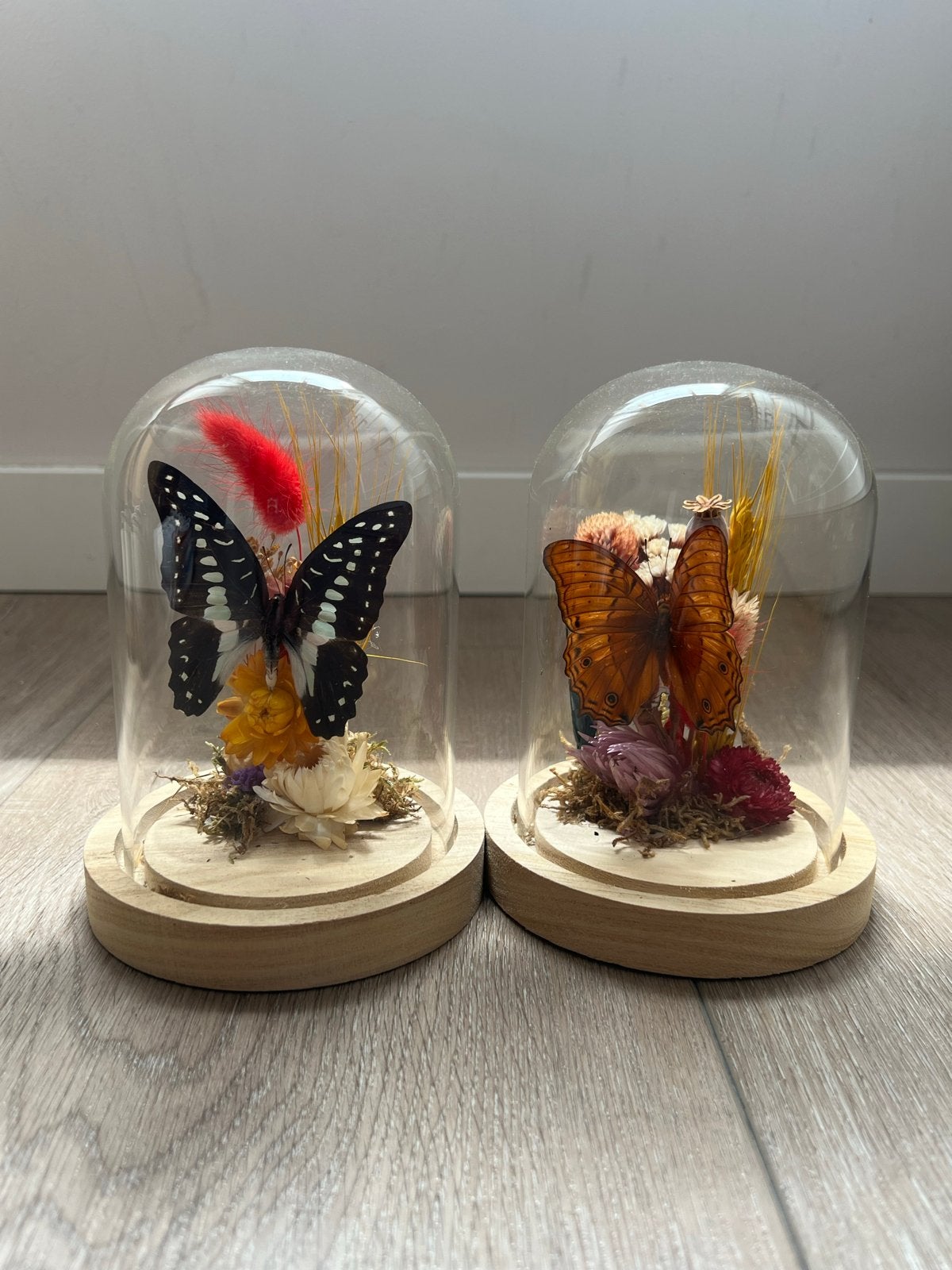 Set van 2 vlinders in glazen stolp met droogbloemen, Ophalen of Verzenden, Zo goed als nieuw