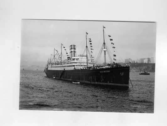 scheepvaart-foto-NASM/HAL-nieuw amsterdam, Verzamelen, Ophalen of Verzenden, Zo goed als nieuw, Boek of Tijdschrift