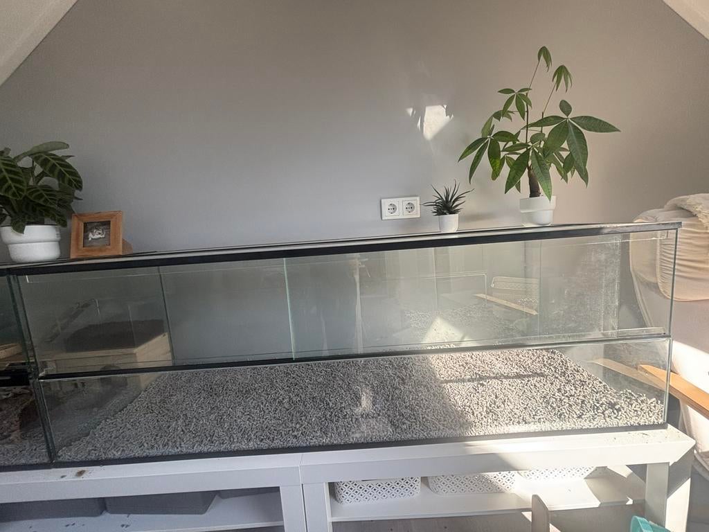 Terrarium 150Lx 50Bx 50H cm met diepe onderbak: ong. 23 cm, Dieren en Toebehoren, Knaagdieren en Konijnen | Hokken en Kooien, Kooi