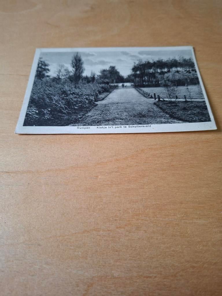 Rumpen  in 't park te Schuttersveld, Ophalen of Verzenden, 1920 tot 1940, Ongelopen, Limburg