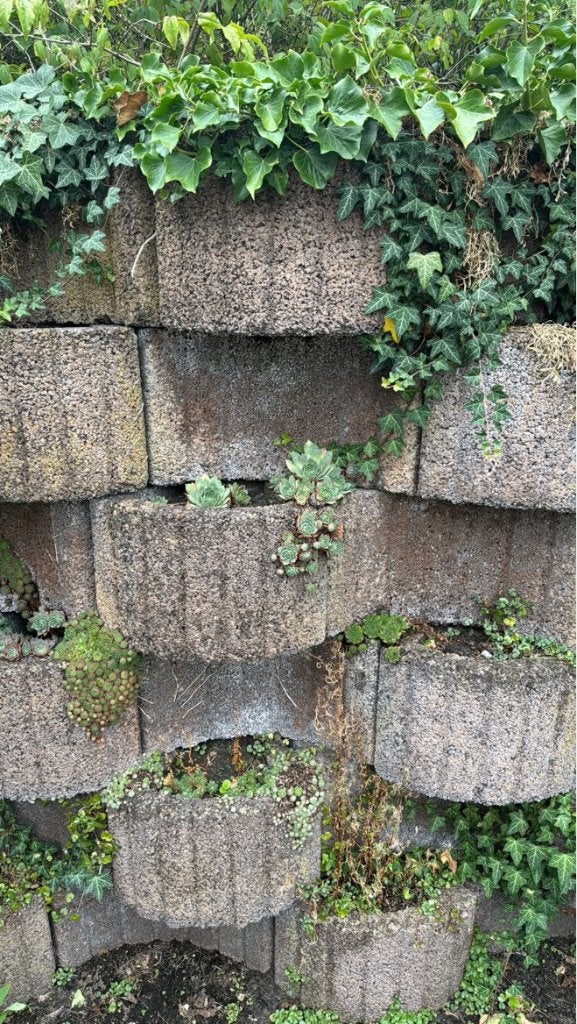 GRATIS - Bims betonblokken - plantenbakken - begroeiingsblok, Tuin en Terras, Ophalen, Kunststof, Gebruikt, Minder dan 30 cm