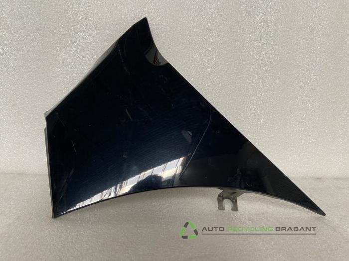 Scherm links-voor van een Volkswagen Beetle (L041), Gebruikt, -, Volkswagen, -
