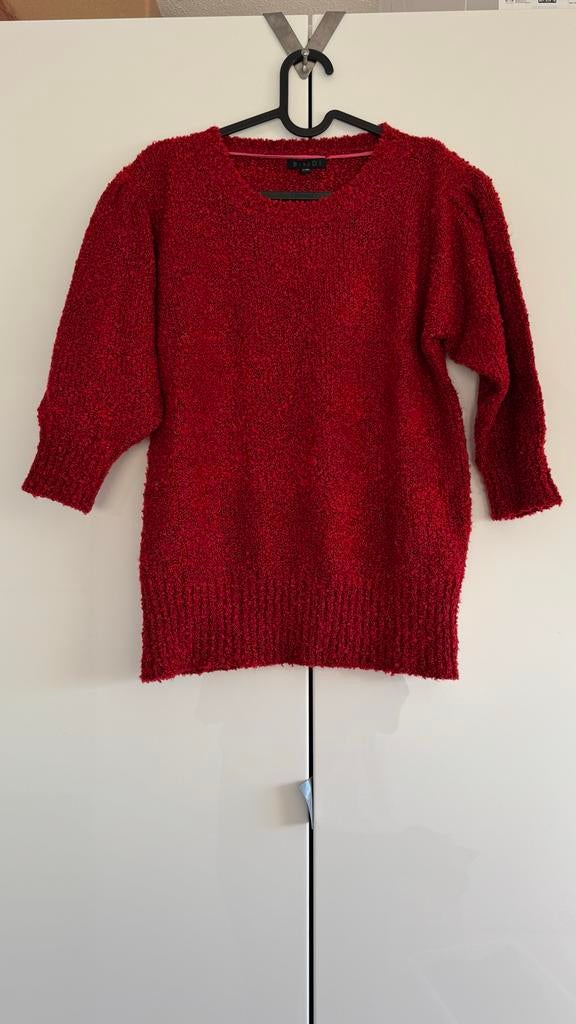 Bindi trui, zachte stof, rood, maat L/XL, Ophalen of Verzenden, Nieuw, Maat 42/44 (L), Rood