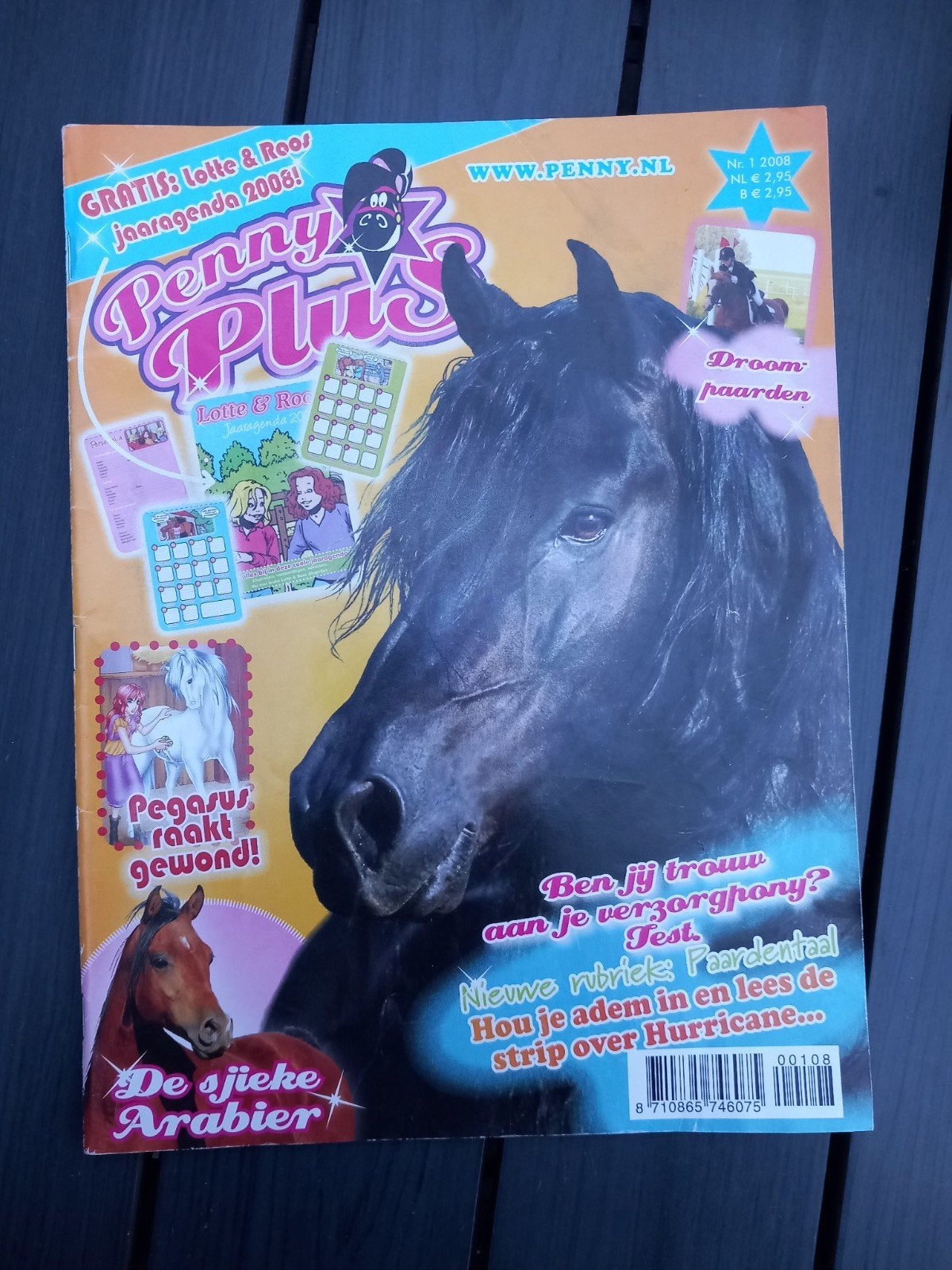 Penny Plus Tijdschrift - Paarden en Pony's - Nr. 1 2008, Boeken, Ophalen of Verzenden, Overige typen