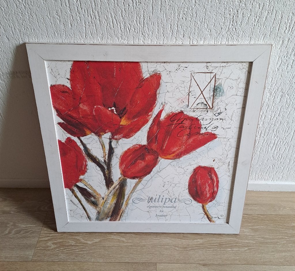 Tulpen, Ophalen, 50 – 75, Nieuw, Print