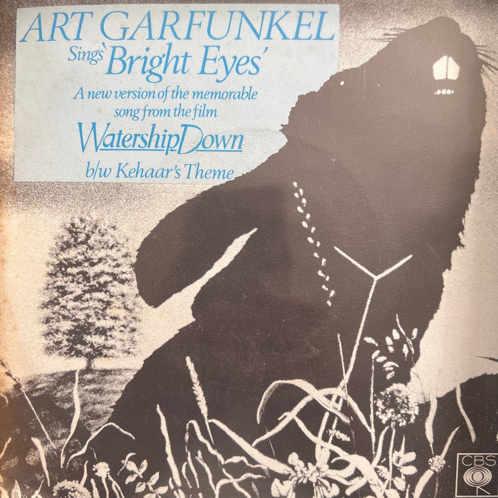 Art Garfunkel - Bright Eyes (Watership Down Soundtrack), Ophalen of Verzenden, Pop
